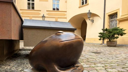 Sídliště dostane nového bronzového žabáka