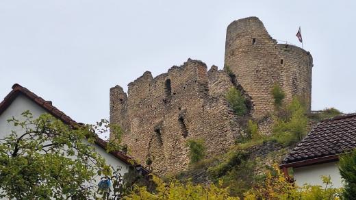 Zříceninu hradu Michalovice u Mladé Boleslavi