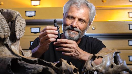 prof. PhDr. Jiří Svoboda, DrSc. – antropolog