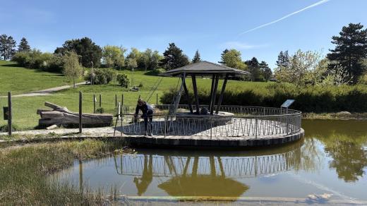 Mezinárodní výzva City Nature Challenge zve dobrovolníky, aby sbírali cenná data pro vědce