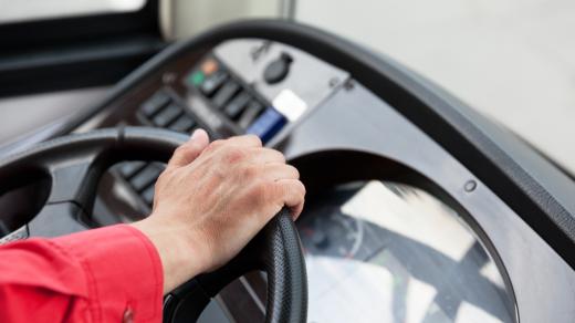 řidič autobusu, ilustrační foto