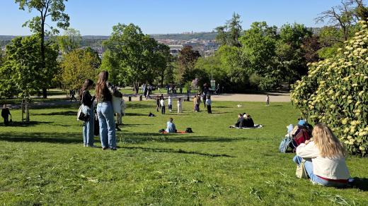 Riegrovy sady