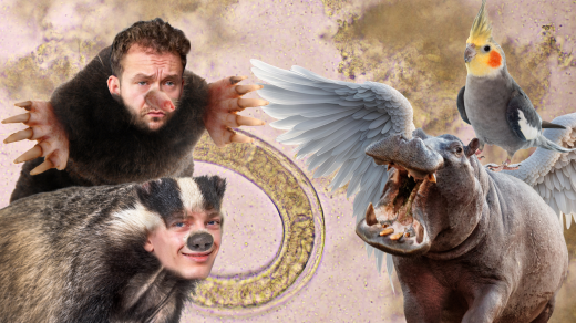 Chudáčci v říši zvířat