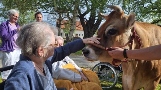 Setkání se zvířaty dělá seniorům vždy velkou radost, říká ředitelka domova