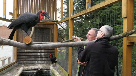Na splnění snů není nikdy pozdě! Luboš Moravec se po čtyřicítce pustil do založení svého zooparku