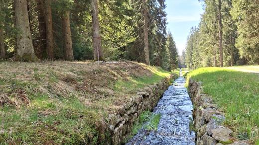 Nová naučná stezka podél Schwarzenberského plavebního kanálu poblíž Přední Výtoně