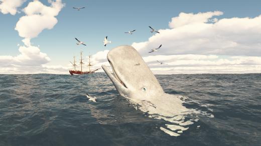 Moby Dick