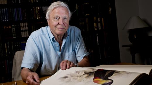 David Attenborough: Výpravy do divočiny. Vyprávění z cest do Paraguaye ke 100. narozeninám autora