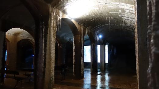 Výstava Mariny Abramowicz v Kodaňském prostoru Cisterne