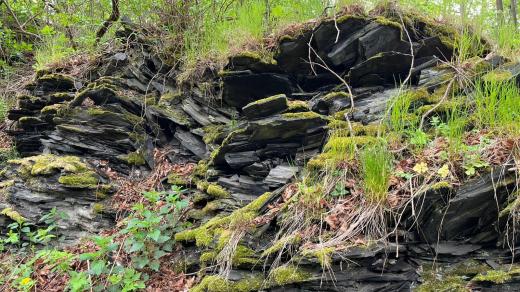 Národní geopark Krajina břidlice na Opavsku otvírá nové turistické trasy