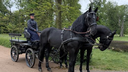 Kočár se starokladrubskými vraníky ve Slatiňanech