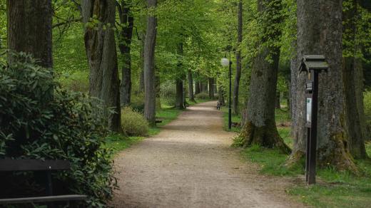 Městský park Krásná Lípa
