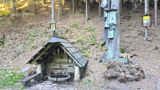 Skalákovu studánku objevili lidé v lesích Maternice v dobách cholery