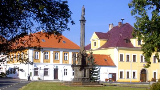 Radonice