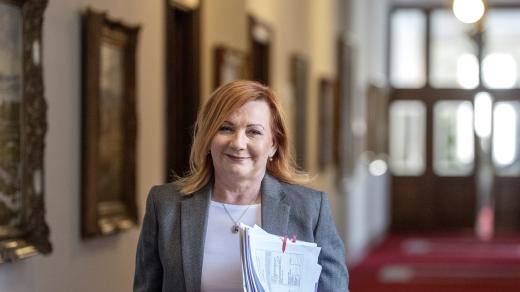 Ministryně financí Alena Schillerová (ANO)