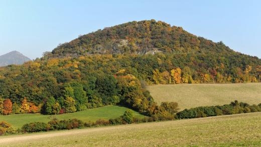 Boreč 