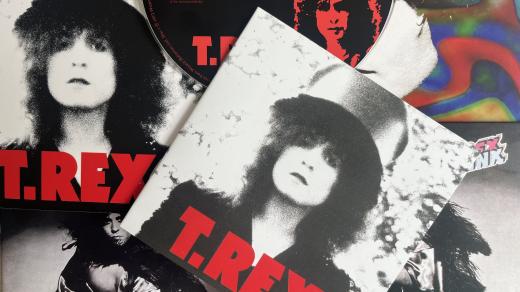T. Rex: The Slider