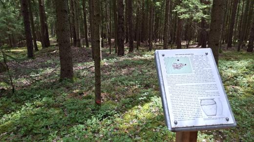 Mohylové pohřebiště na vrchu Baba nad Vitínem