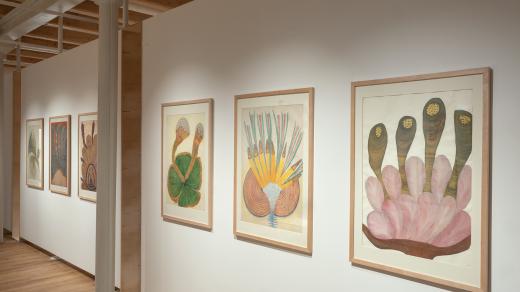 Gočárova galerie vystavuje na výstavě Plody s chutí bramborových šišek díla Anny Zemánkové