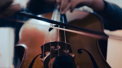Violoncello