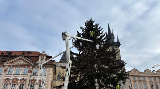 Využívají k tomu vysokozdvižné plošiny