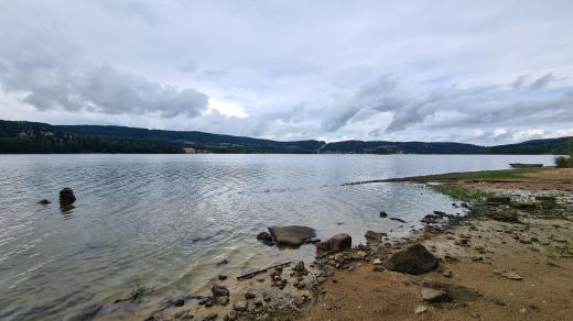 Lipno