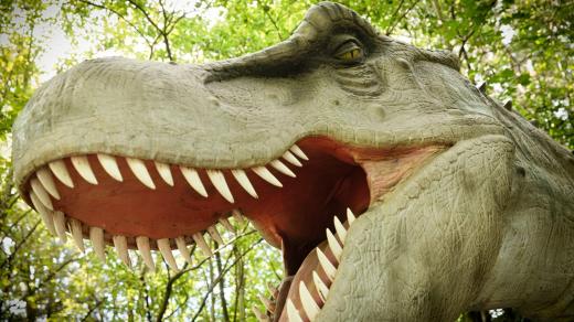 Takto nějak by asi vypadalo to poslední, co by člověk viděl, pokud by potkal Tyrannosaura rexe. V tomto případě se však naštěstí jedná jen o další z věrných modelů