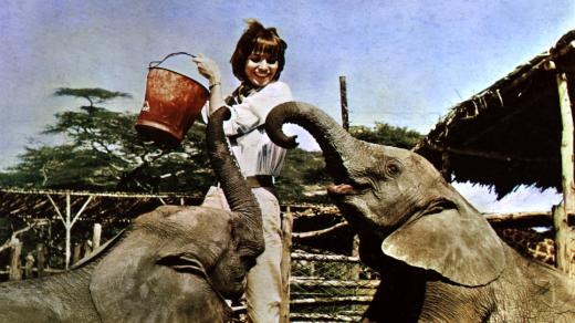 Z filmu Hatari! (1962)