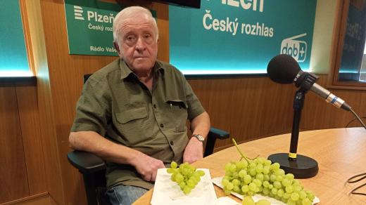 Jan Kratochvíl