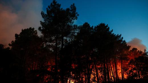 Požár lesa u Fontainebleau nedaleko Paříže už spálil na 800 hektarů porostu