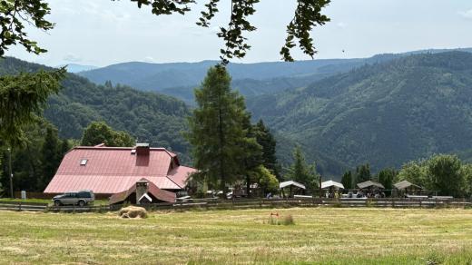 Výhled na prales