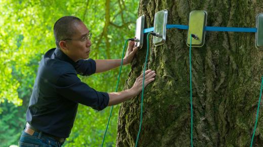 Tony Leung Chiu-wai v hlavní roli filmu Tichá přítelkyně