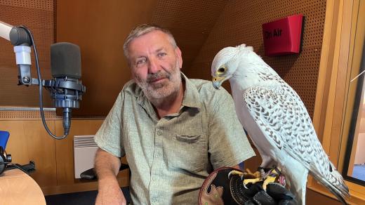 Sokolník Eduard Školoud a samice raroha loveckého Královna
