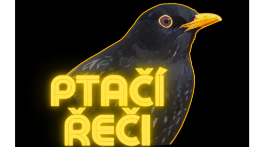 Ptačí řeči