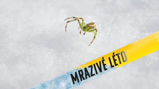 Meteor o přežití mrazu, putování dinosaurů a střílející rostlině