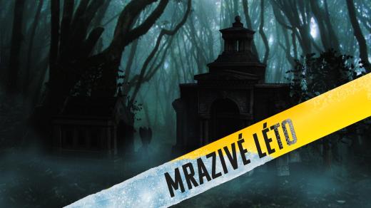 Petr Hudský: Hrubý pytel, hrubá záplata