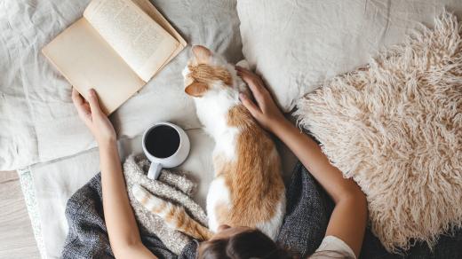 Hygge životní styl je plny pohody a klidu