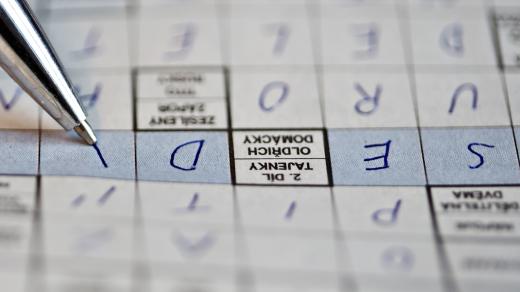 Správná křížovka má duši, její jazyk vás zavazuje, říká mistr světa v logických hádankách Vítězslav Koudelka