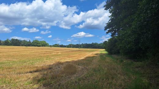 Orlová koupí od společnosti Asental Land strategické pozemky za téměř 47 milionů korun
