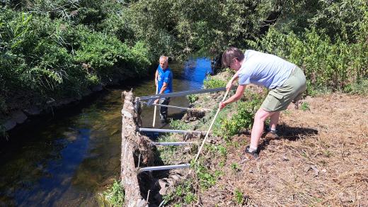 Hydrobiologové měřicí zařízení upevní na roxory v Drnovém potoce