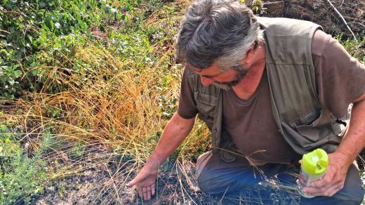 S Jaroslavem Hořením natáčel lesní hospodář Karel Kolář. Poslední déšť zvlhčil půdu jen několik centimetrů do hloubky