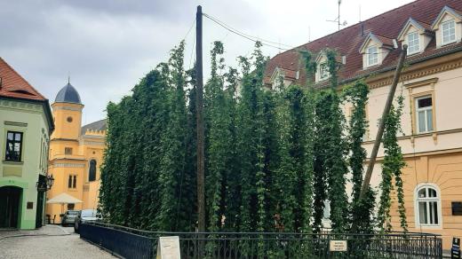 Chmelaři, sedláci, rybáři i skláři aneb řemeslníci, kteří dříve slavili na přelomu srpna a září