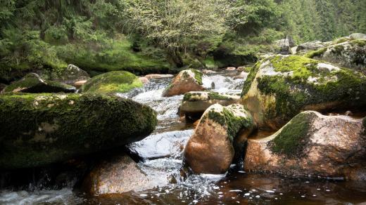 Šumava