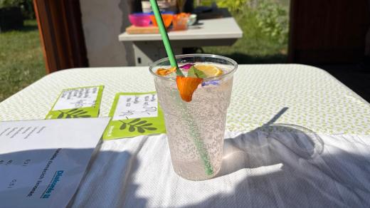 Vrchlabská diakonie nabízí během léta zájemcům osvěžení v podobě domácích limonád