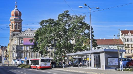 V Plzni skončila revitalizace sadů Pětatřicátníků