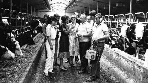 Reportáž z JZD v Bečvárech (1982)