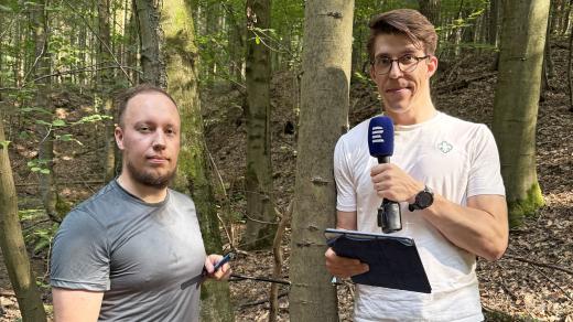 O příbězích krajiny, které vypráví stromy. Žárovky s Filipem Schlesingerem