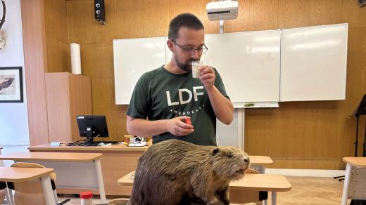 Jakub Drimaj z LDF Mendelovy Univerzity čichá k bobřímu pižmu
