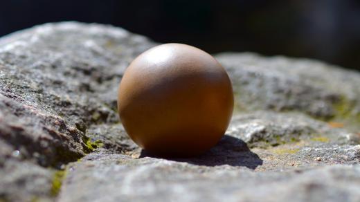Hikaru dorodango je japonská technika výroby lesklých koulí z hlíny