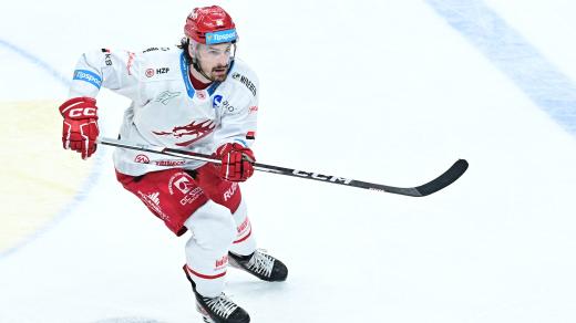 Daniel Voženílek